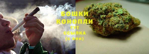дурь Ладушкин