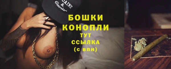 PSILOCYBIN Лабытнанги