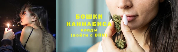 PSILOCYBIN Лабытнанги