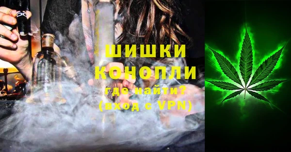 PSILOCYBIN Лабытнанги