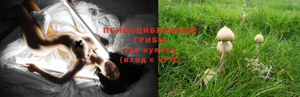дурь Ладушкин