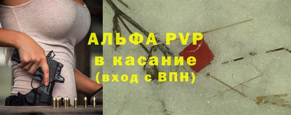 PSILOCYBIN Лабытнанги