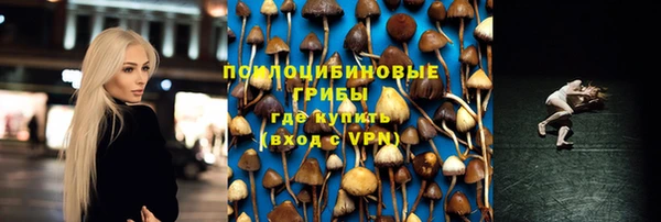 дурь Ладушкин